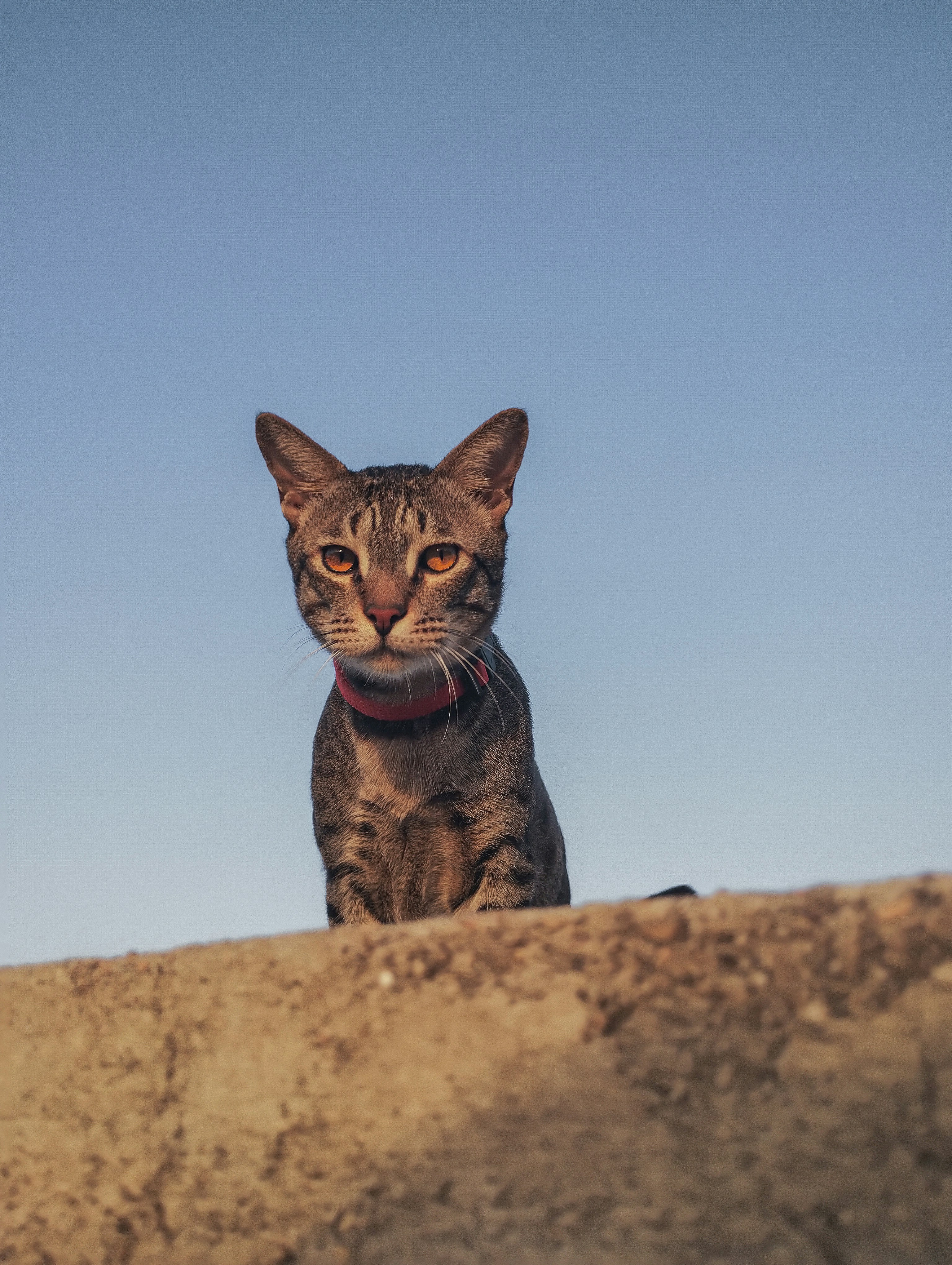 Photo by creative_af