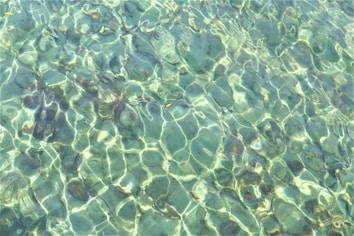 Transparent water with visible waves creates a pattern of light reflections on the surface. The water appears clear, revealing some underwater details and a variety of shades.