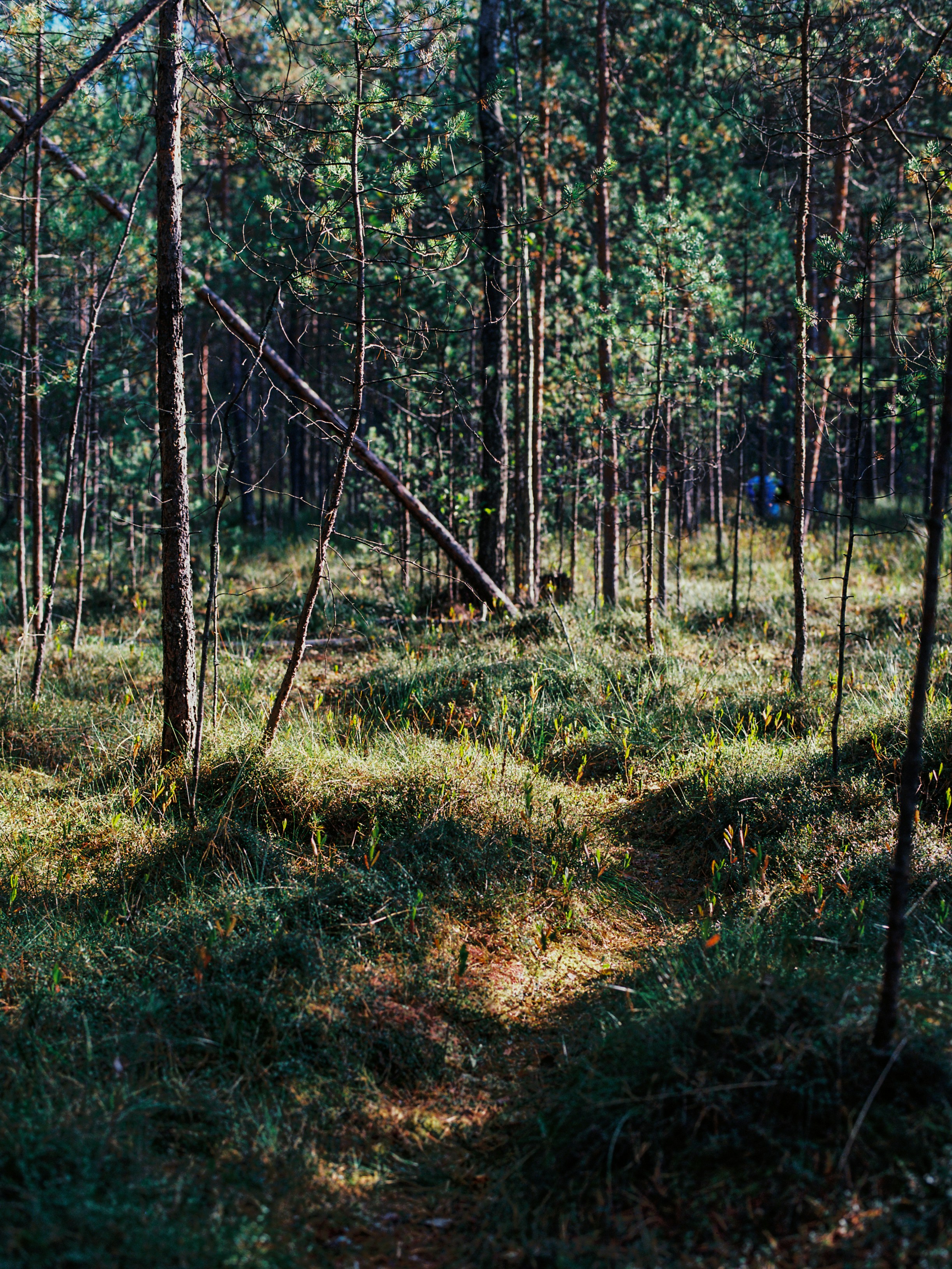 Photo by evil_bumblebee