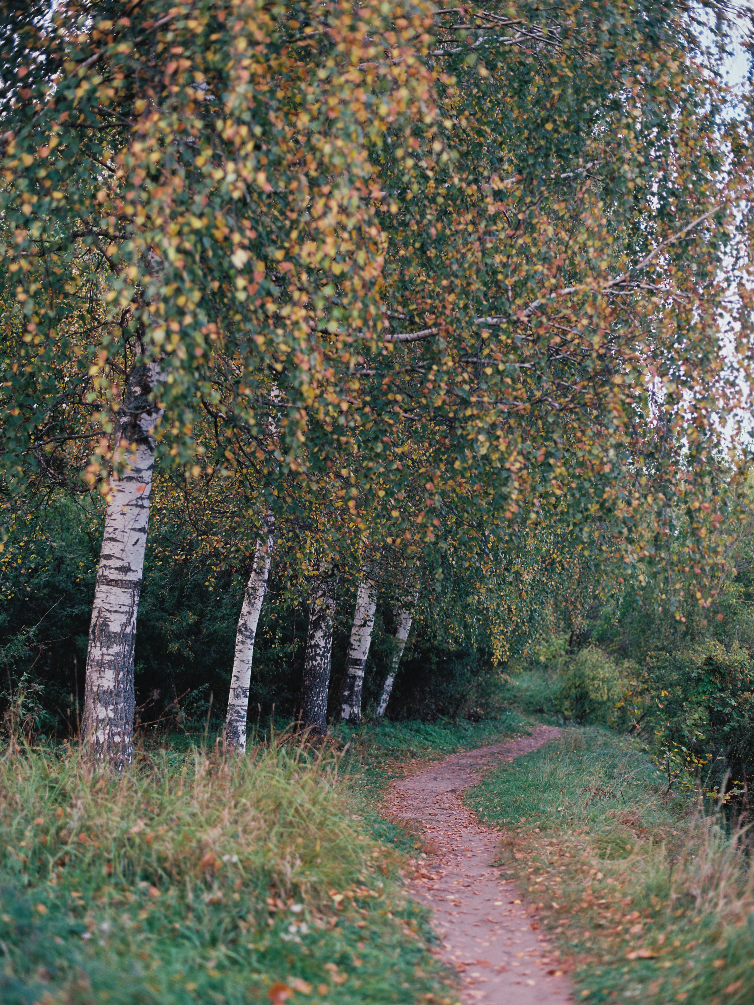 Photo by evil_bumblebee