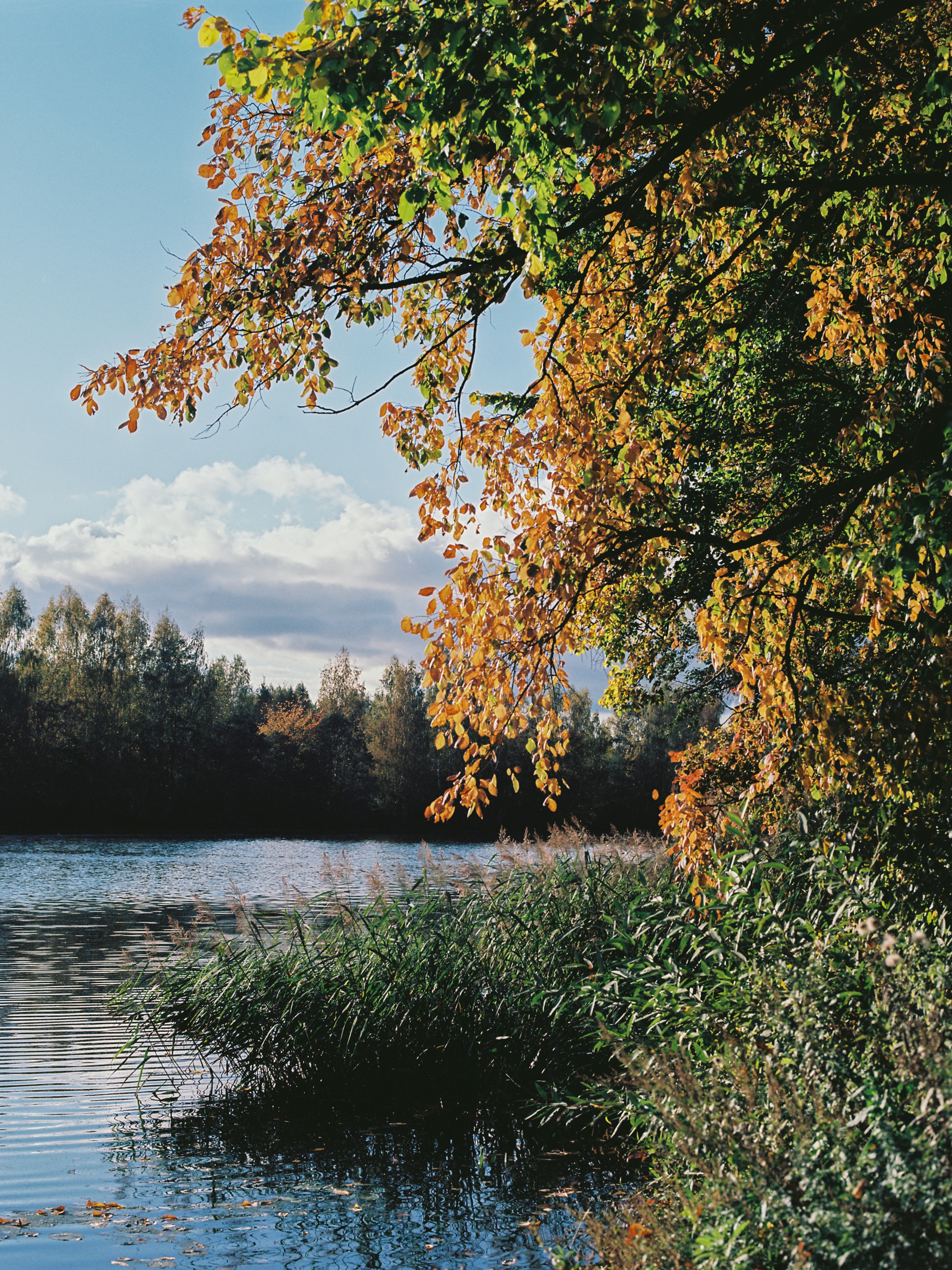 Photo by evil_bumblebee