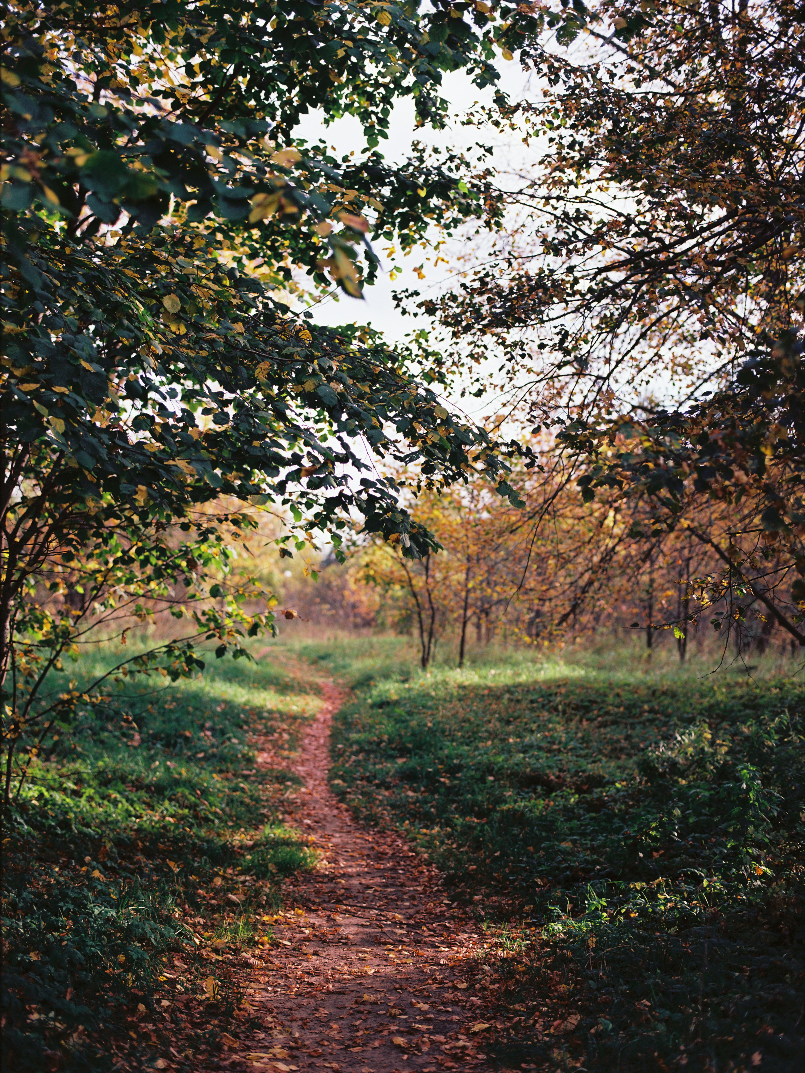 Photo by evil_bumblebee