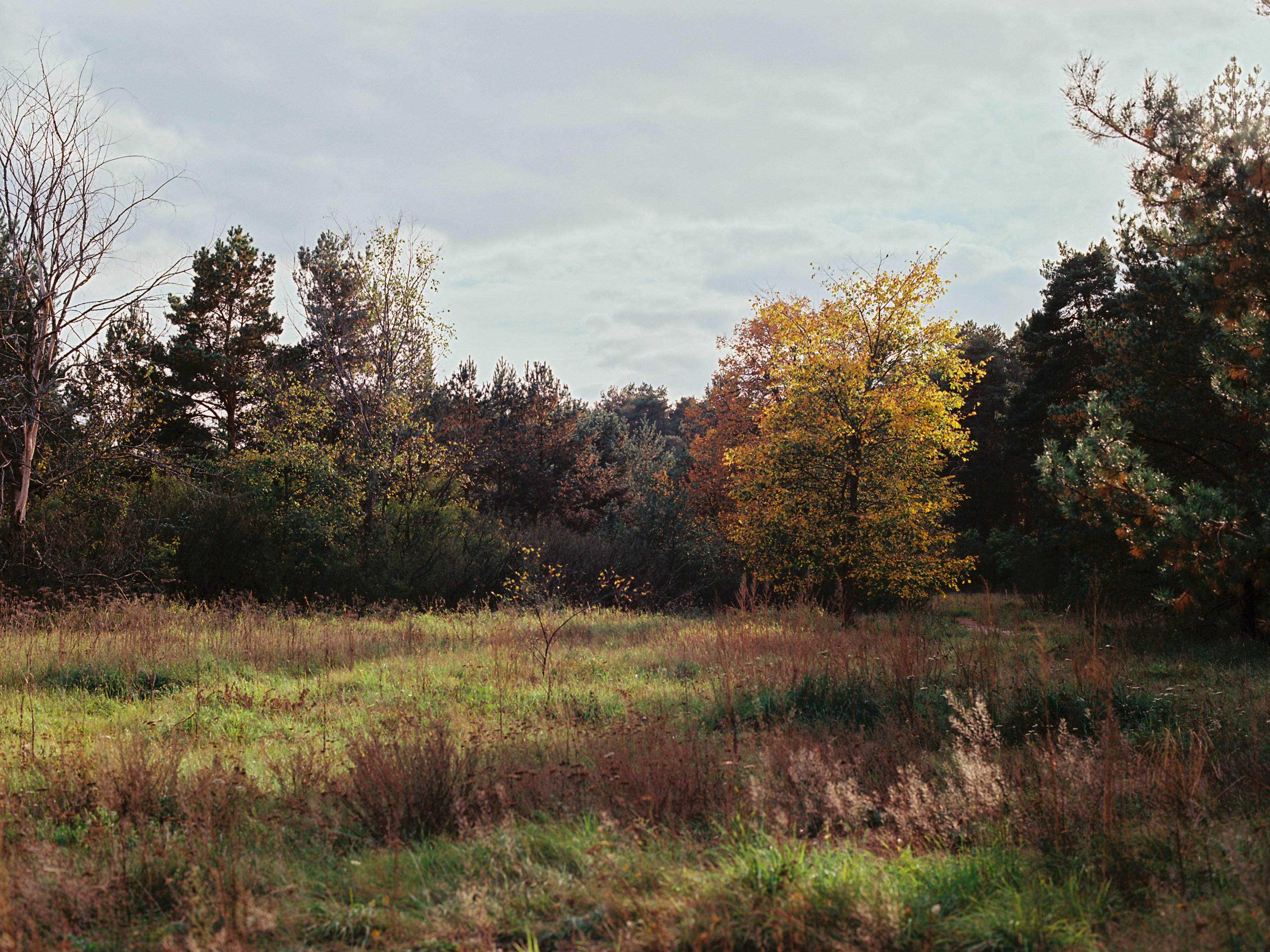 Photo by evil_bumblebee