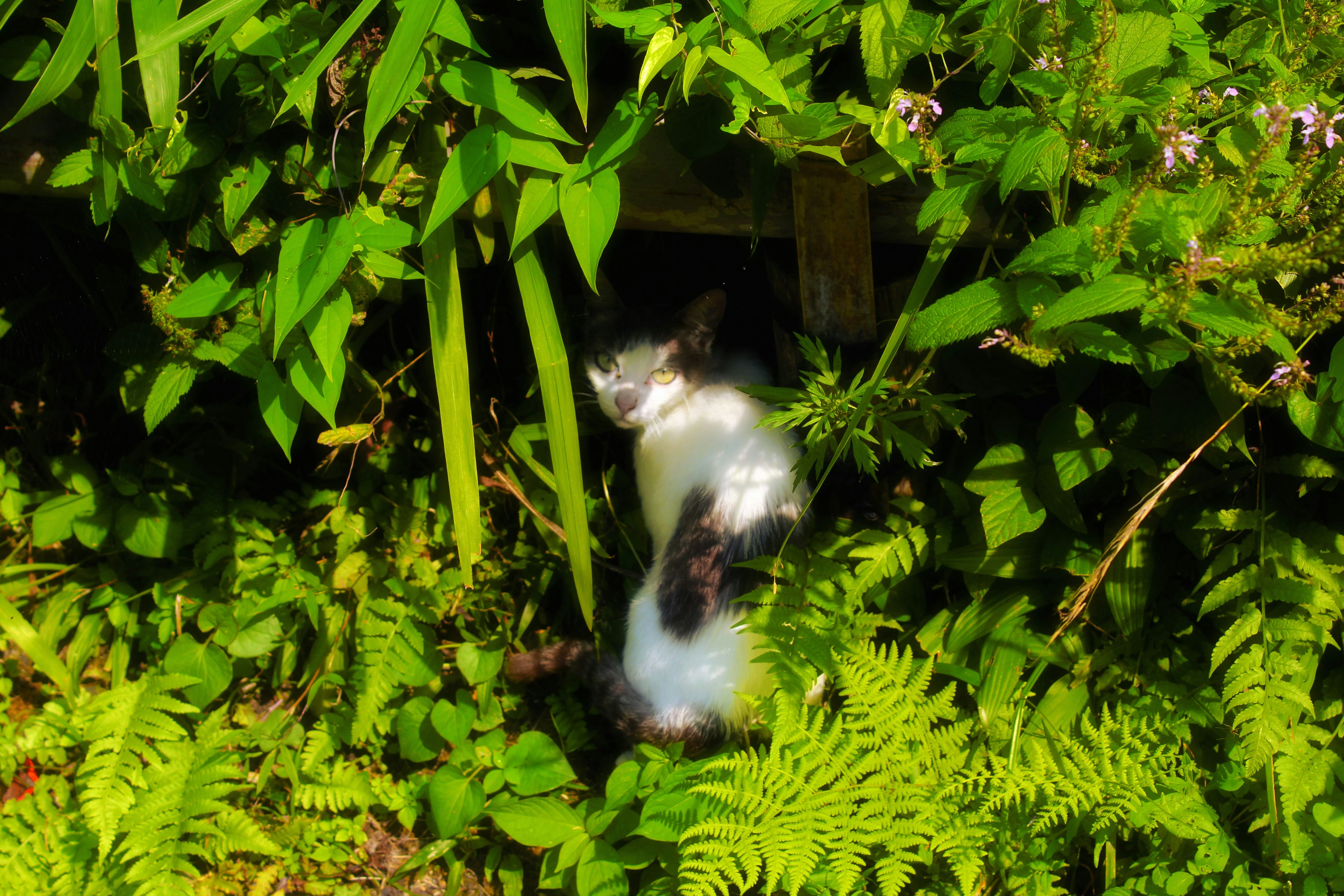 マリノス gk ユニフォーム