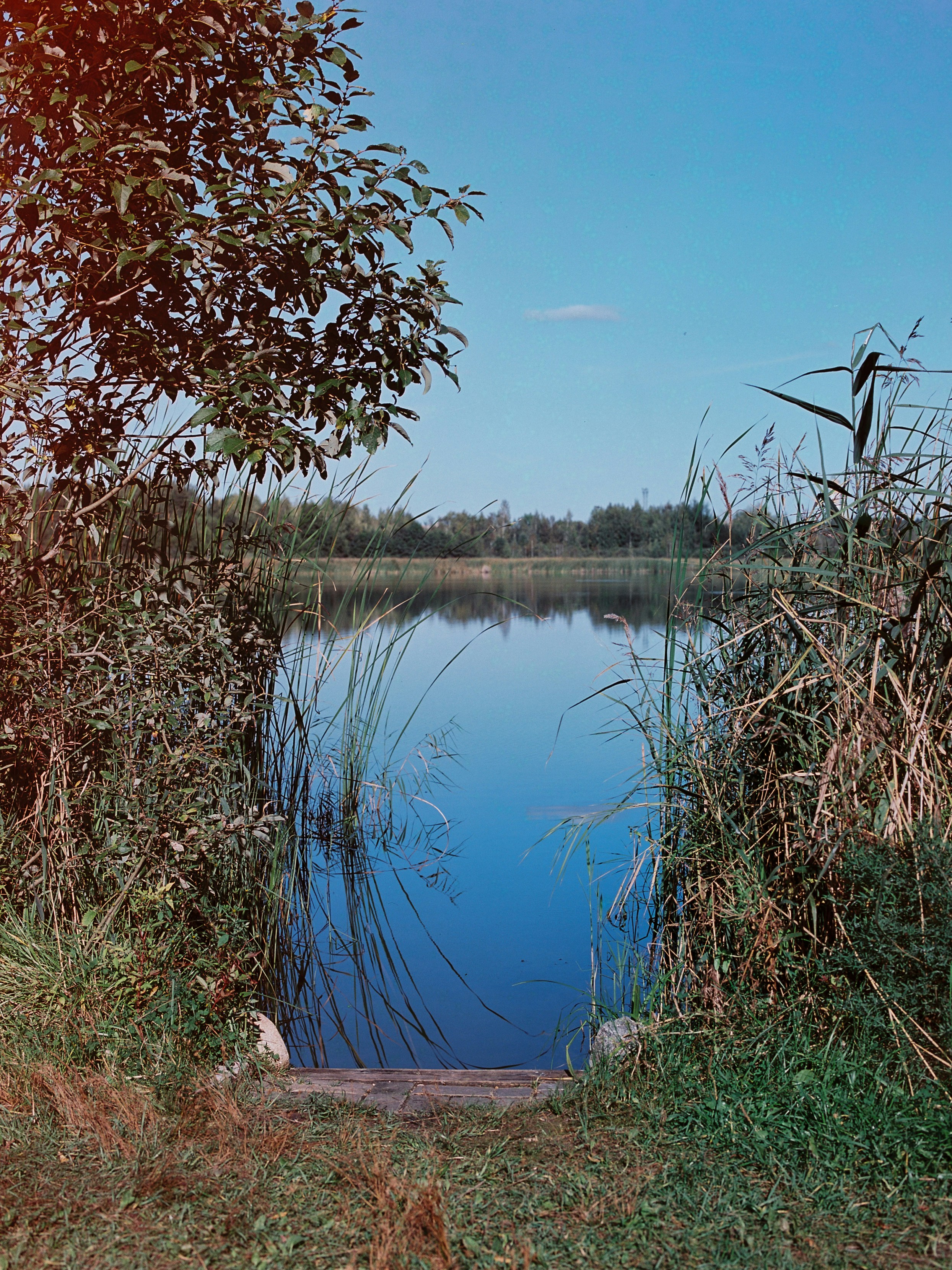 Photo by evil_bumblebee