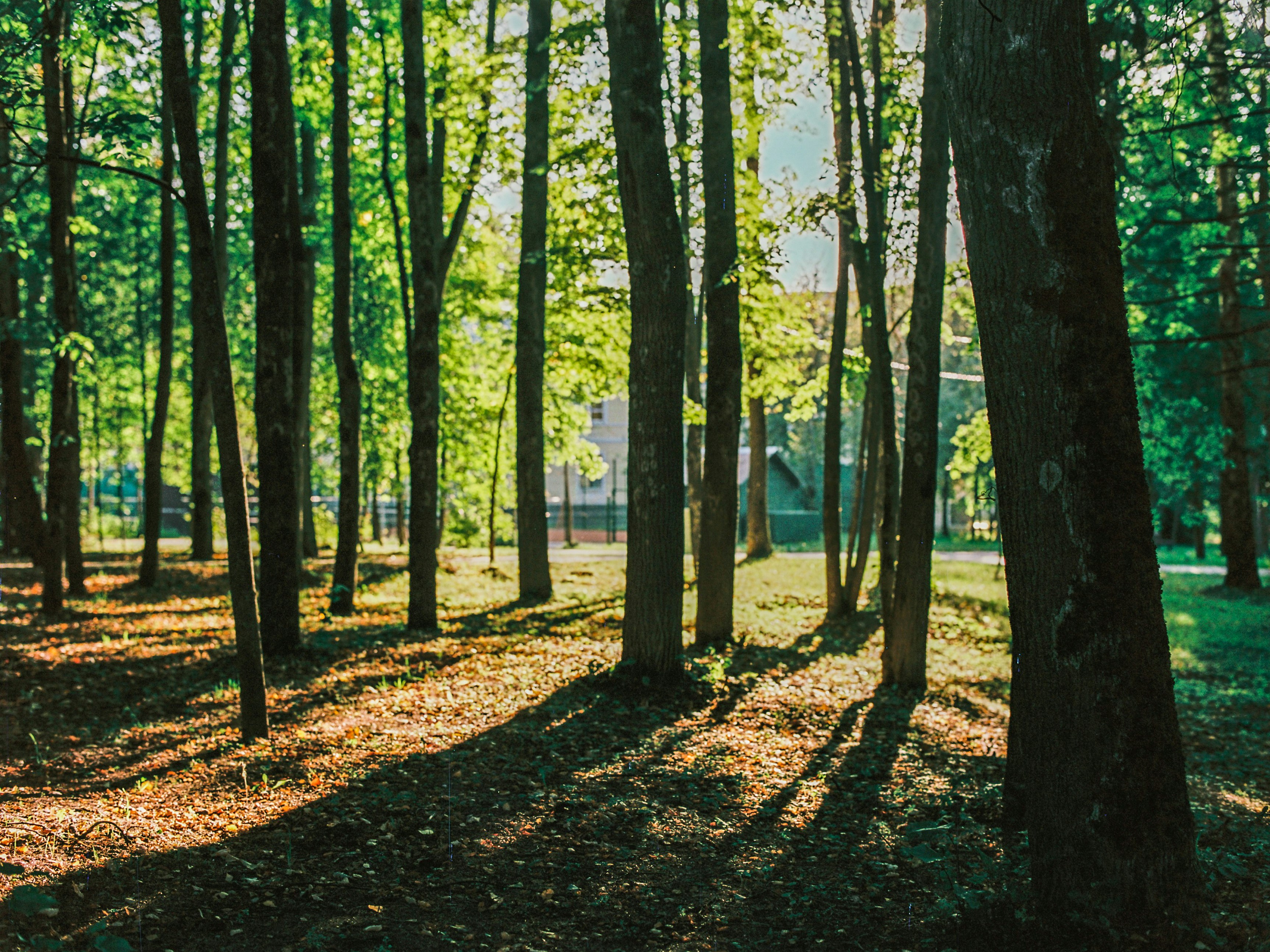 Photo by evil_bumblebee