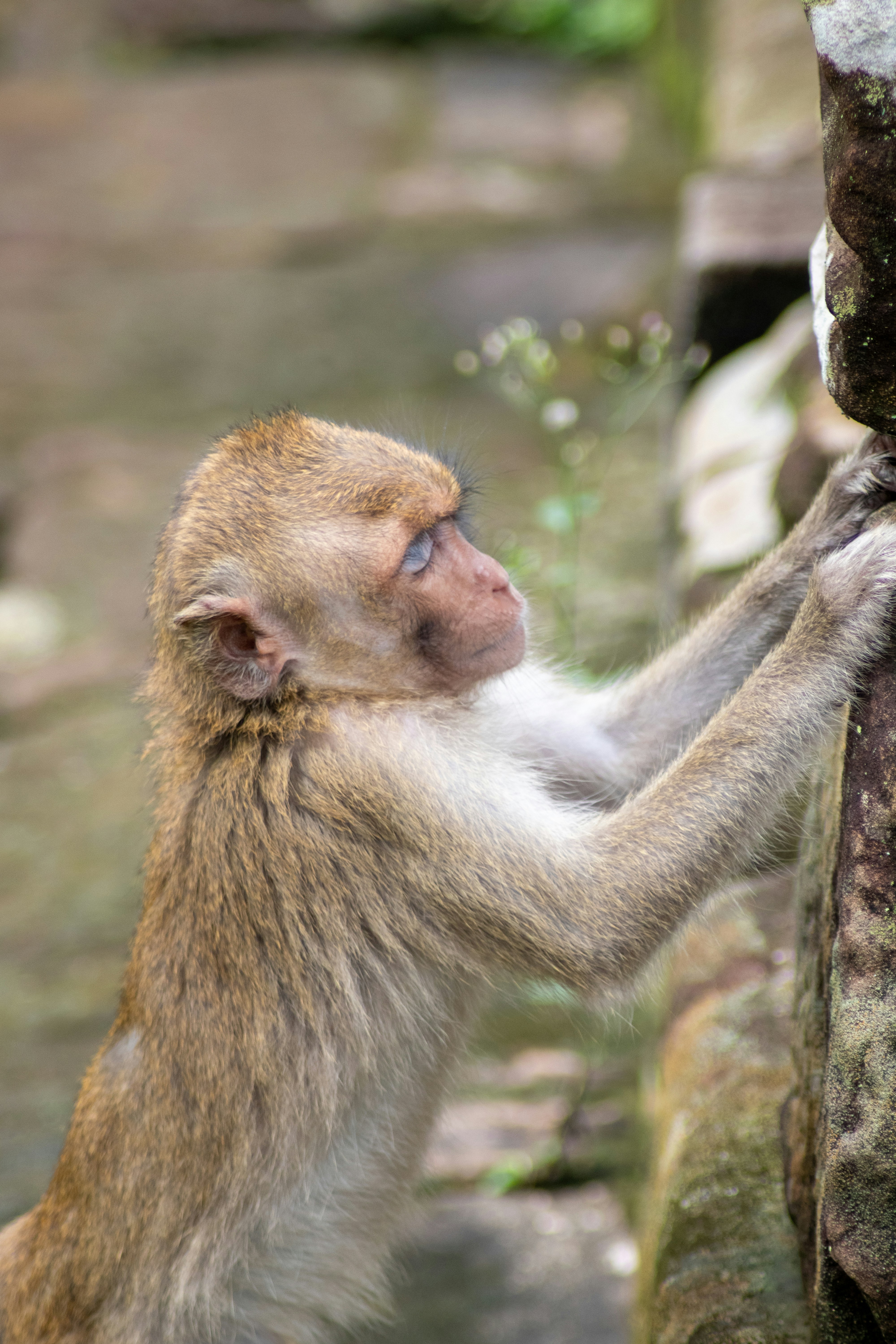 Photo by alix_guerin