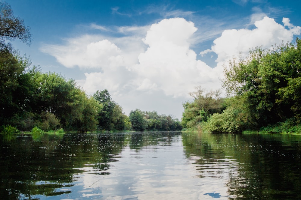 a body of water surrounded by trees and clouds