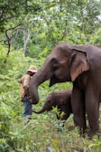 a man standing next to a baby elephant in a forest