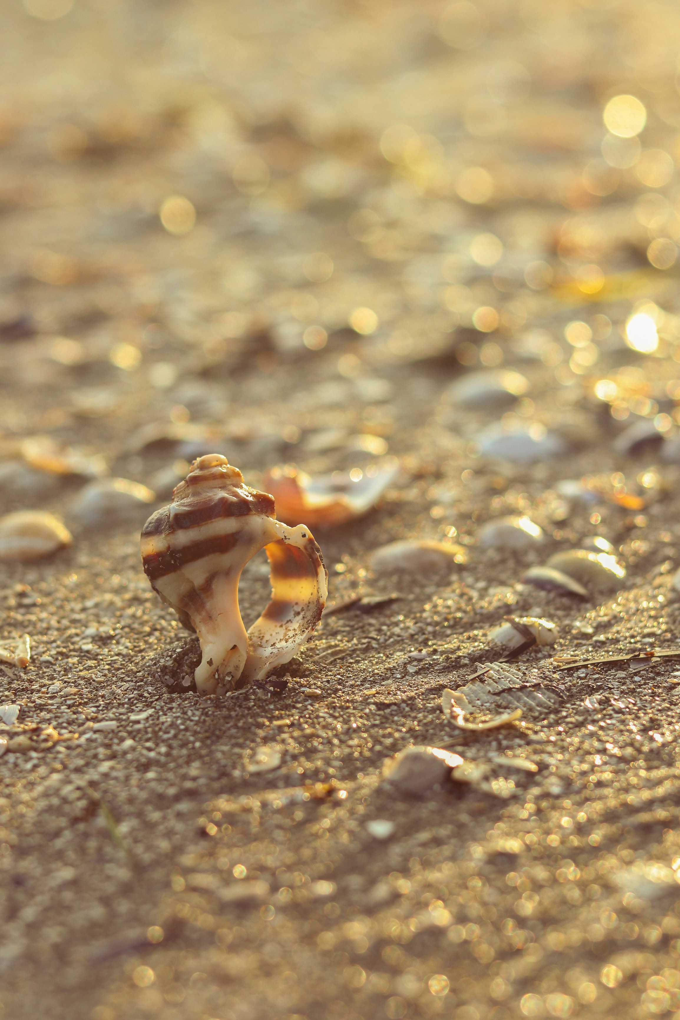 soft light background, wallpaper, 8 Penyebab Sakit Bokong Sebelah Kanan & Cara Mengatasi 5