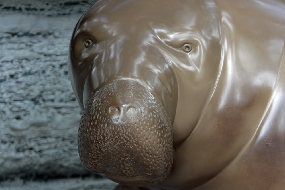 a close up of a statue of a dog