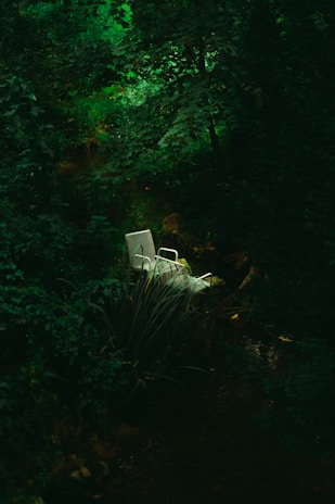 A white chair is situated in a lush, green forest setting surrounded by dense foliage and shadows. Light filters through the canopy, creating a serene and secluded atmosphere.