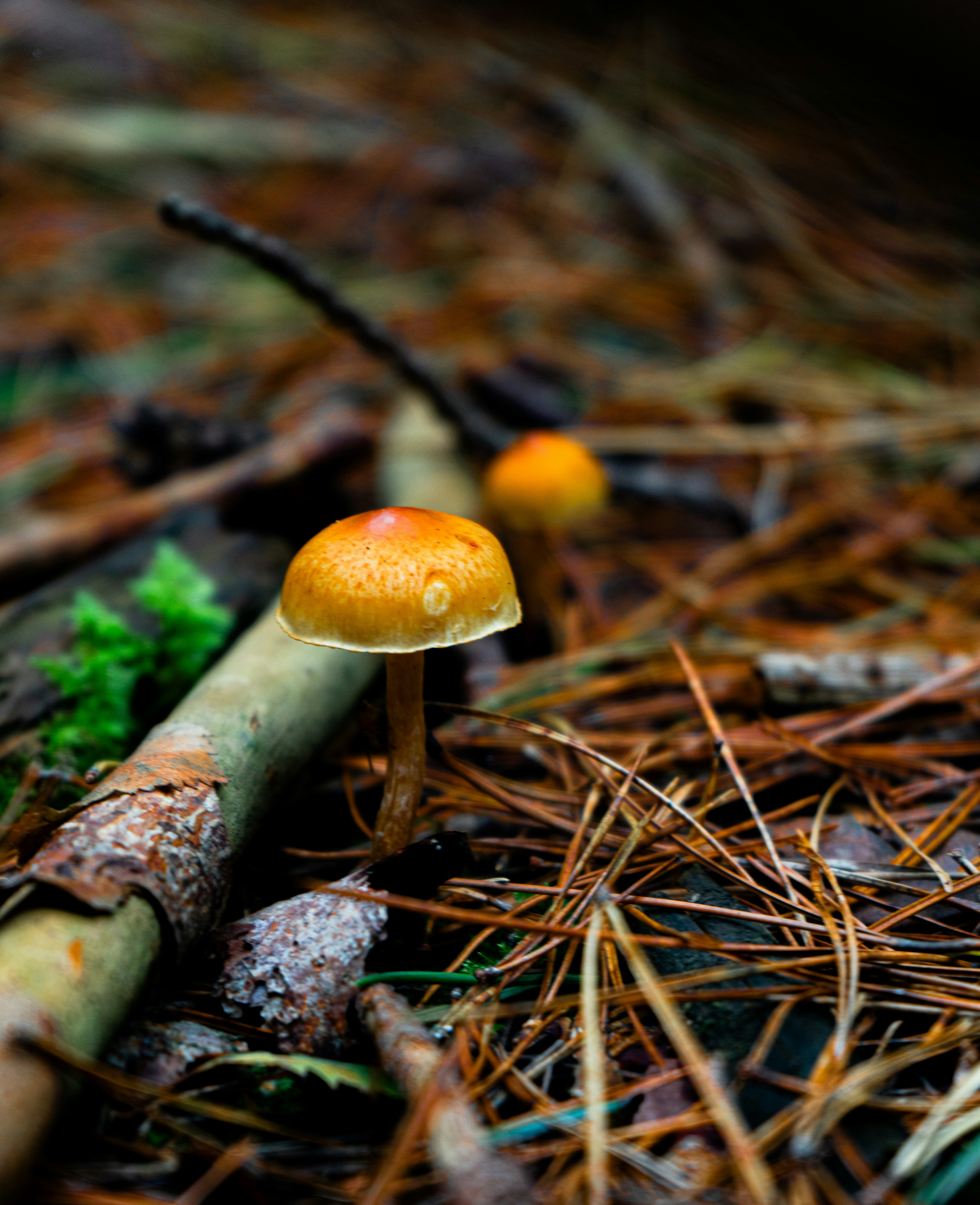 Photo by jagjeetdhuna