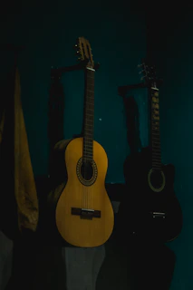 Close-up of TK Shoals duo playing acoustic guitars with vintage microphones.