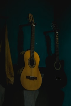 Brothers Charlie and David Peters playing vintage guitars in a cozy studio.
