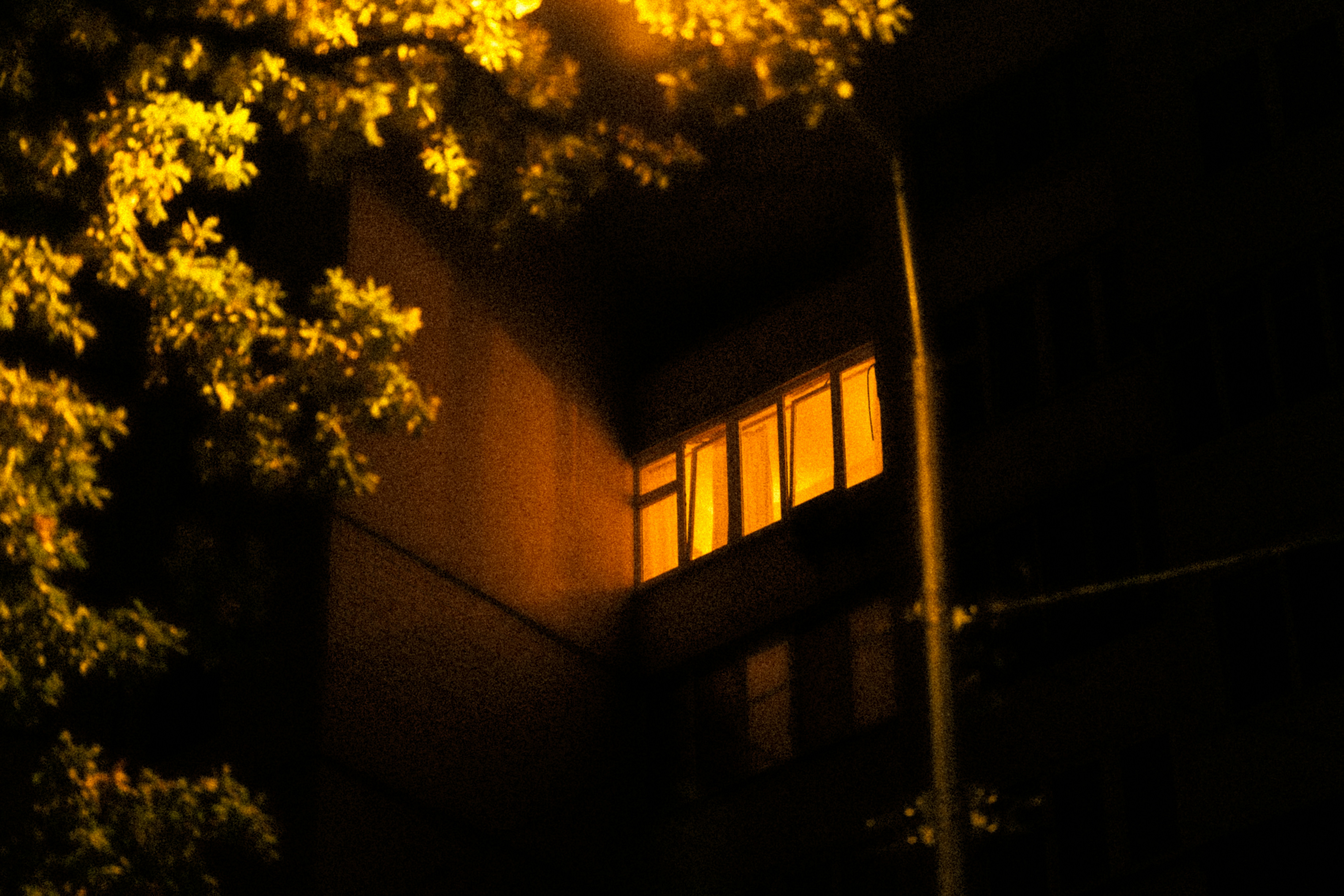 Photo by samoyedness