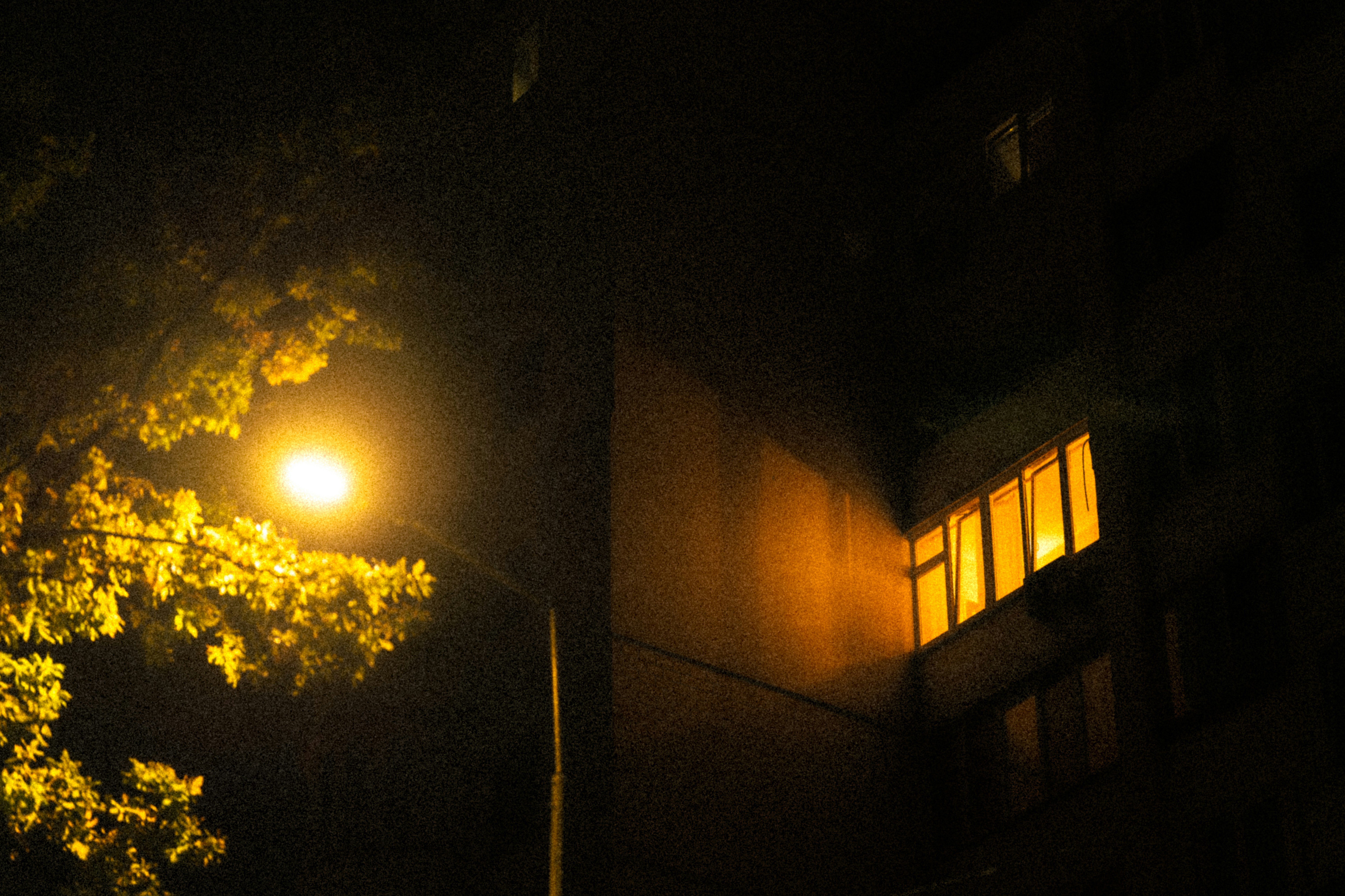 Photo by samoyedness