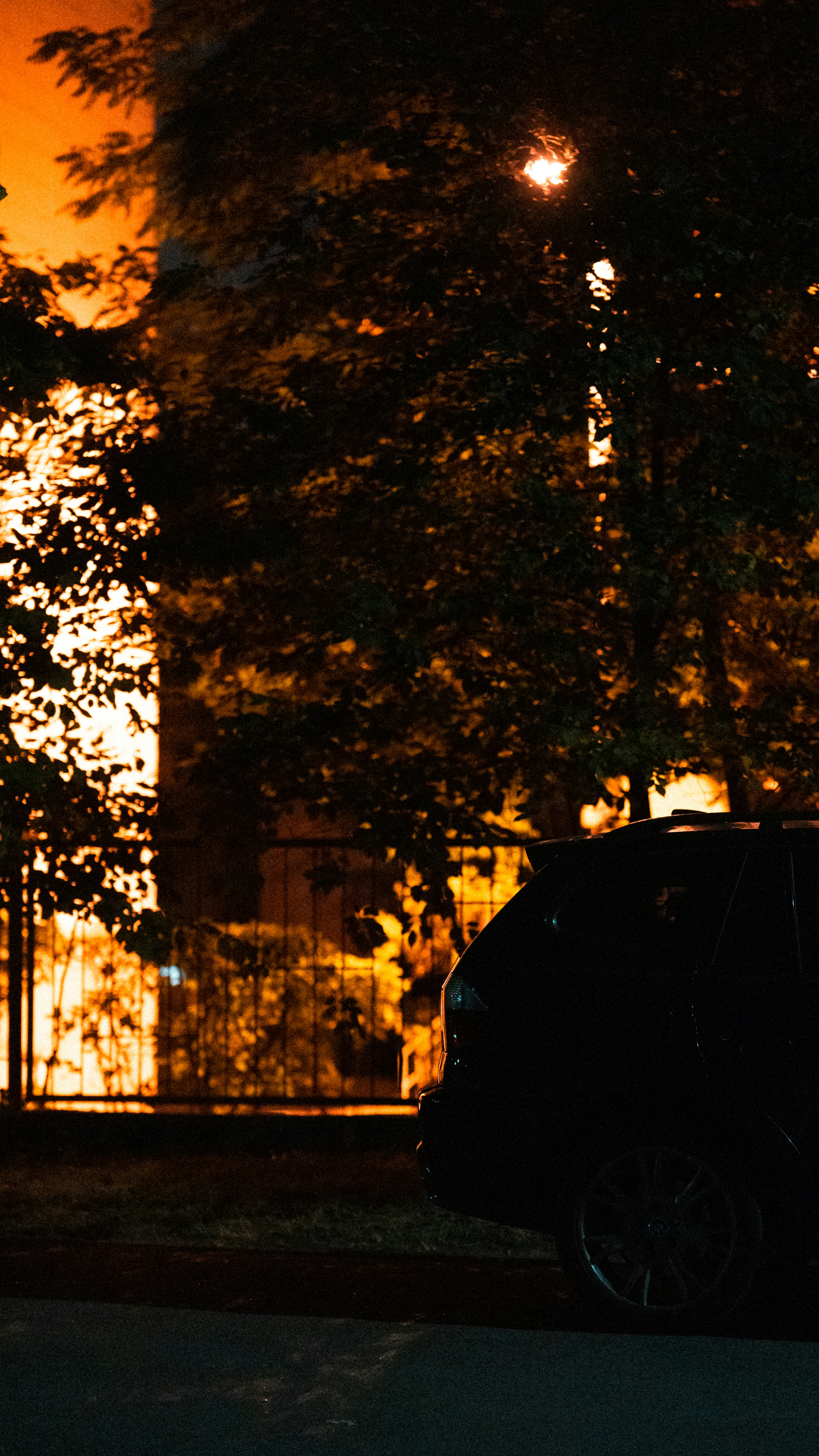 Photo by samoyedness