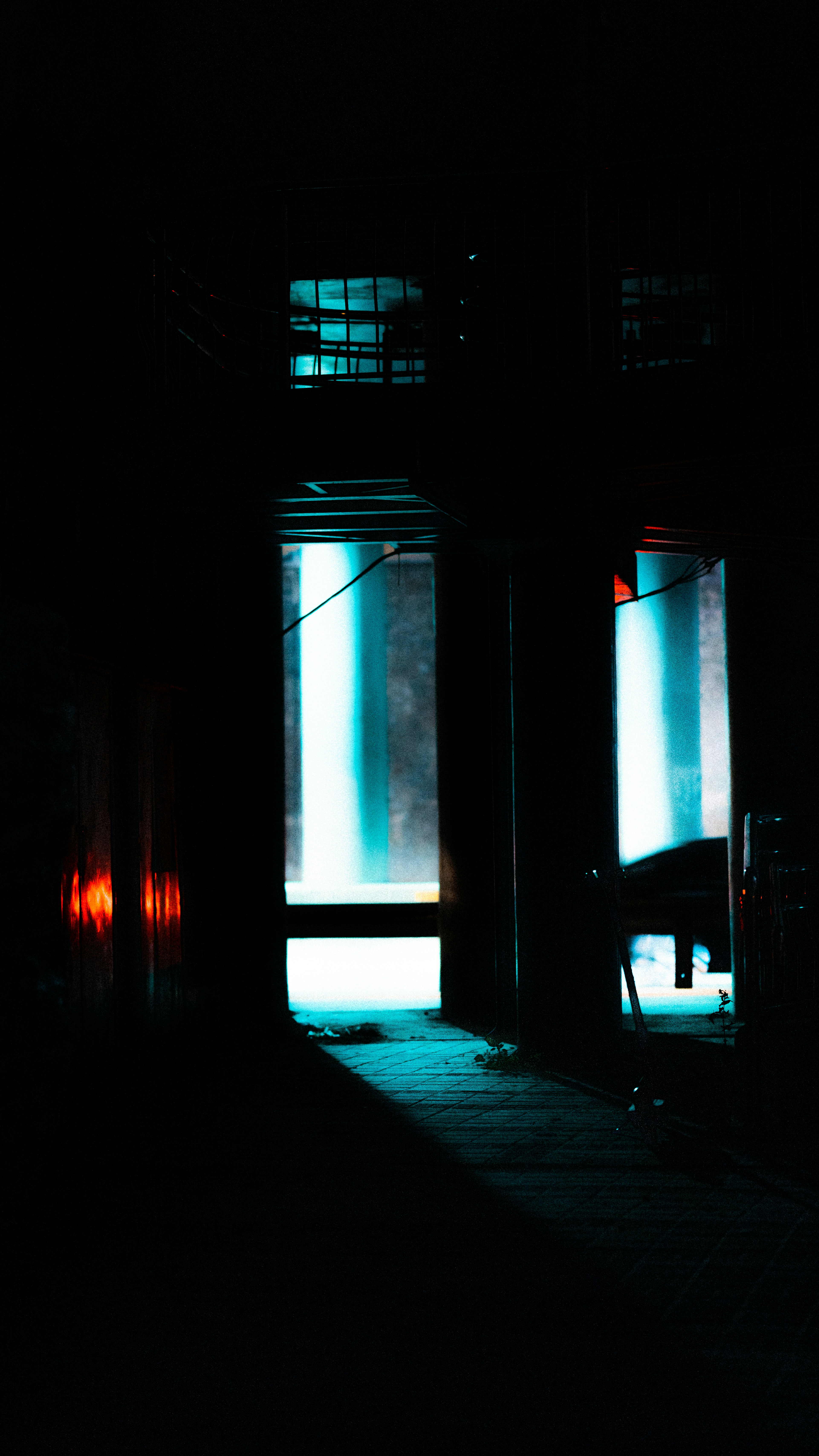 Photo by samoyedness