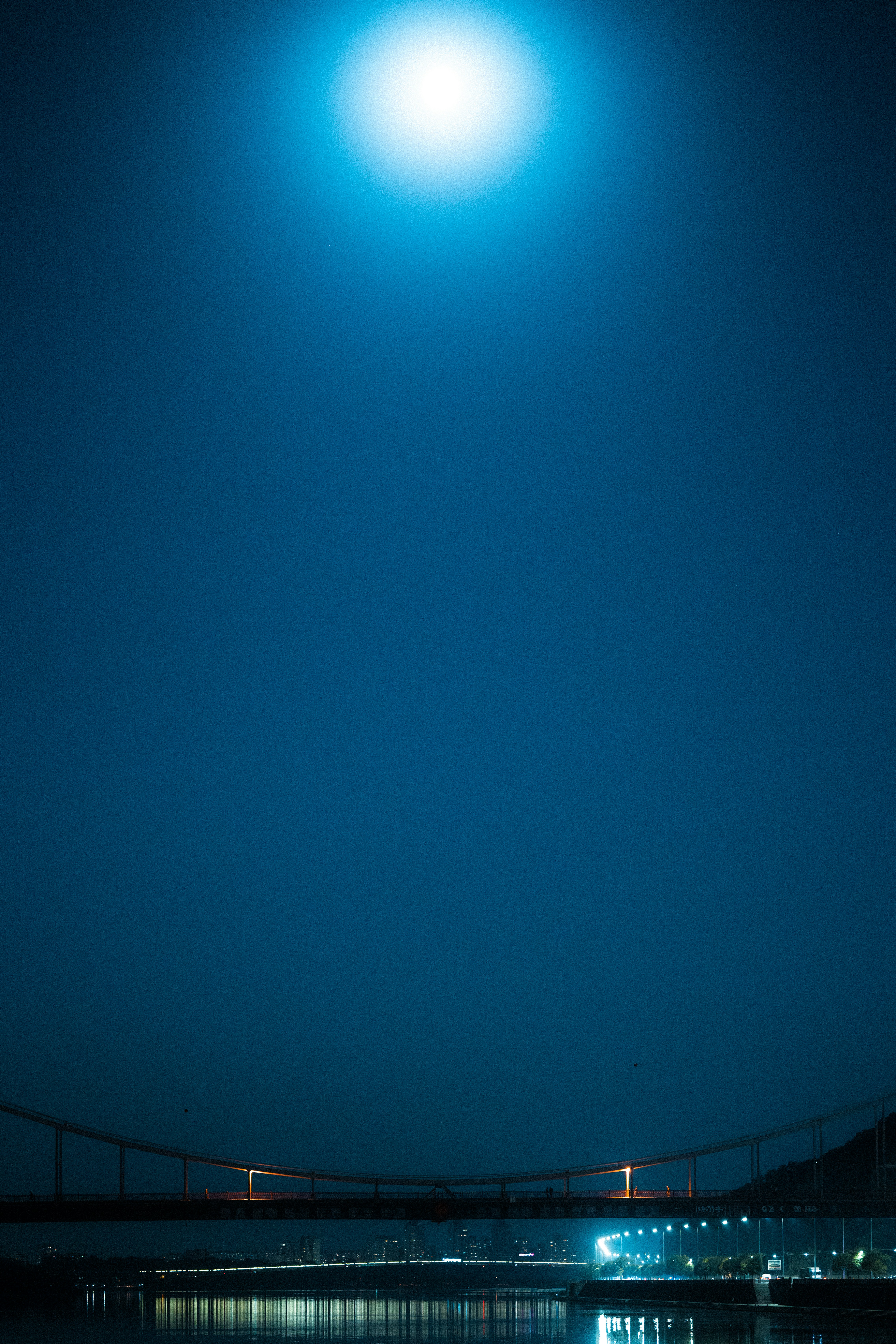 Photo by samoyedness