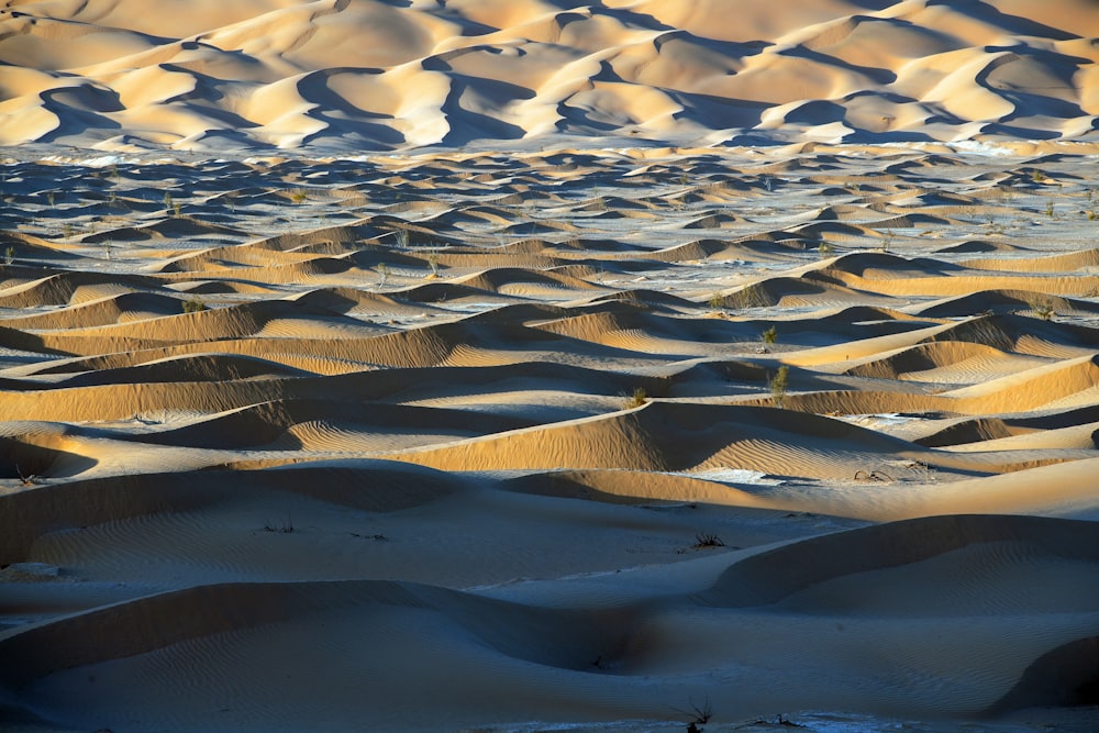 a large group of sand dunes in the desert