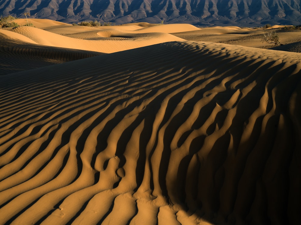 a large sand dune with mountains in the background