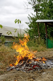 A PureBurn incinerator installed outdoors, surrounded by greenery under a clear blue sky.