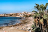 A sandy beach filled with people enjoying various activities under a clear blue sky. There is a large palm tree in the foreground on the right, and a vibrant town with colorful buildings in the background. People are sunbathing, swimming, and walking along the shore.