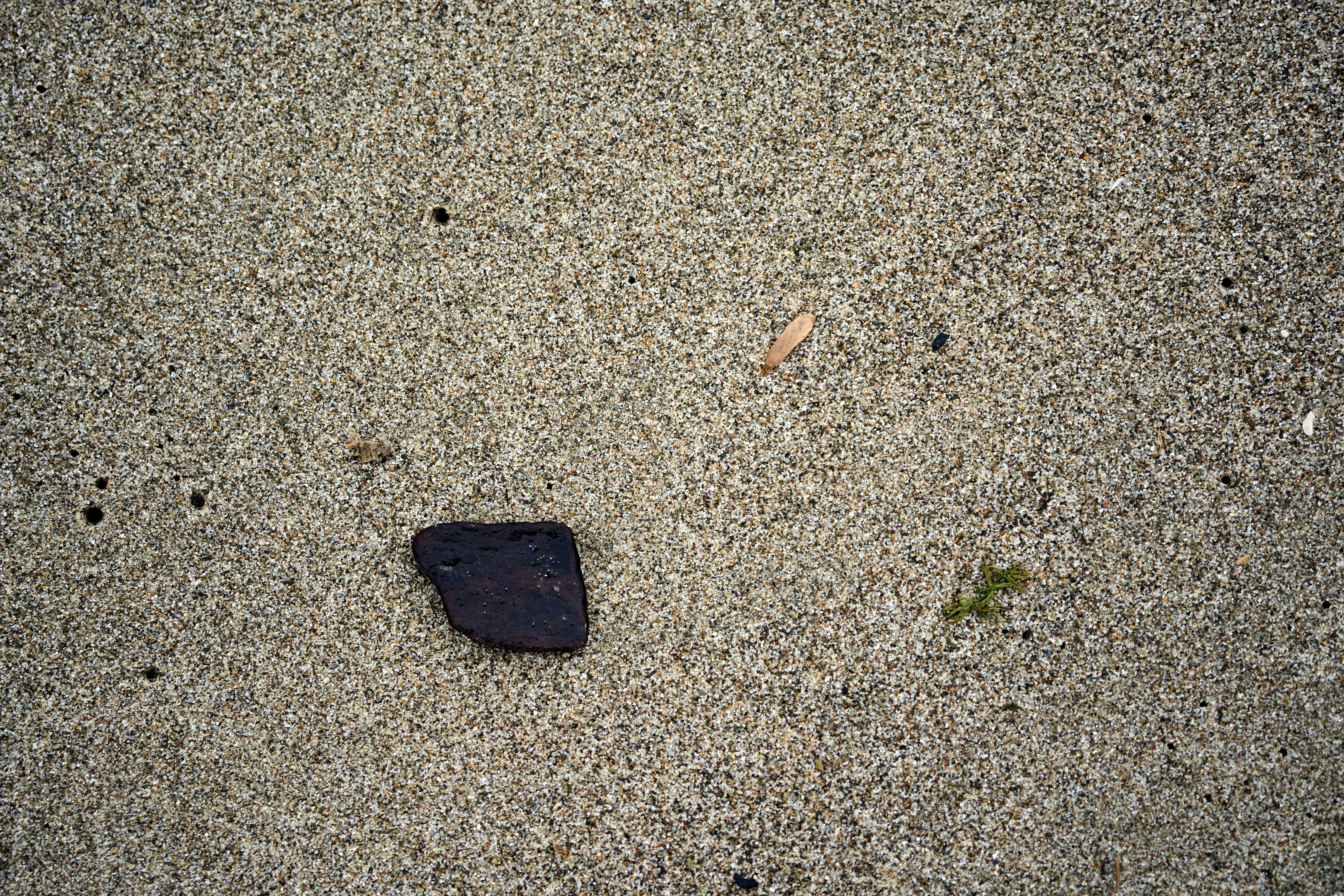 Photo by wolfgang_hasselmann