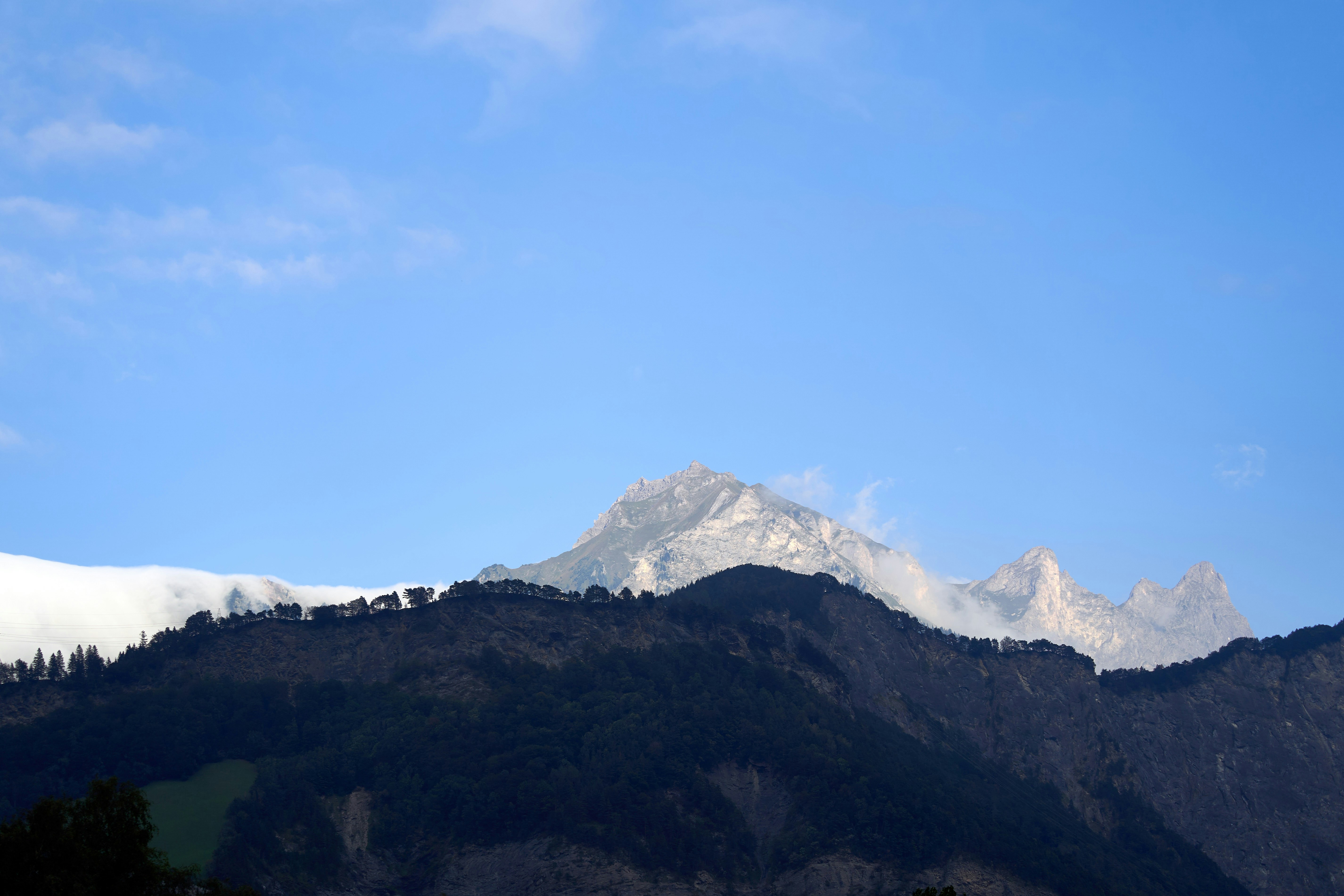 Photo by wolfgang_hasselmann