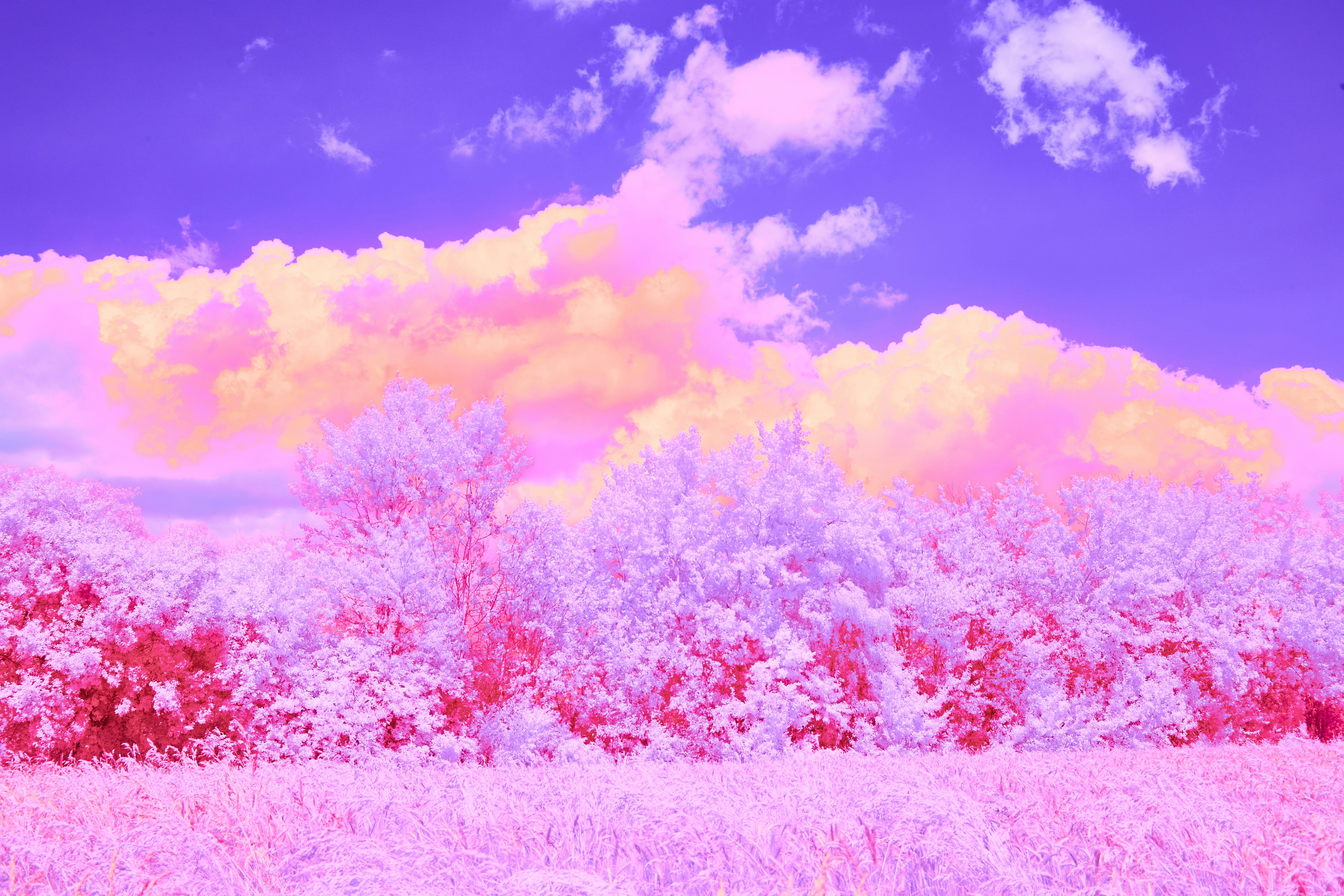 Photo by wolfgang_hasselmann