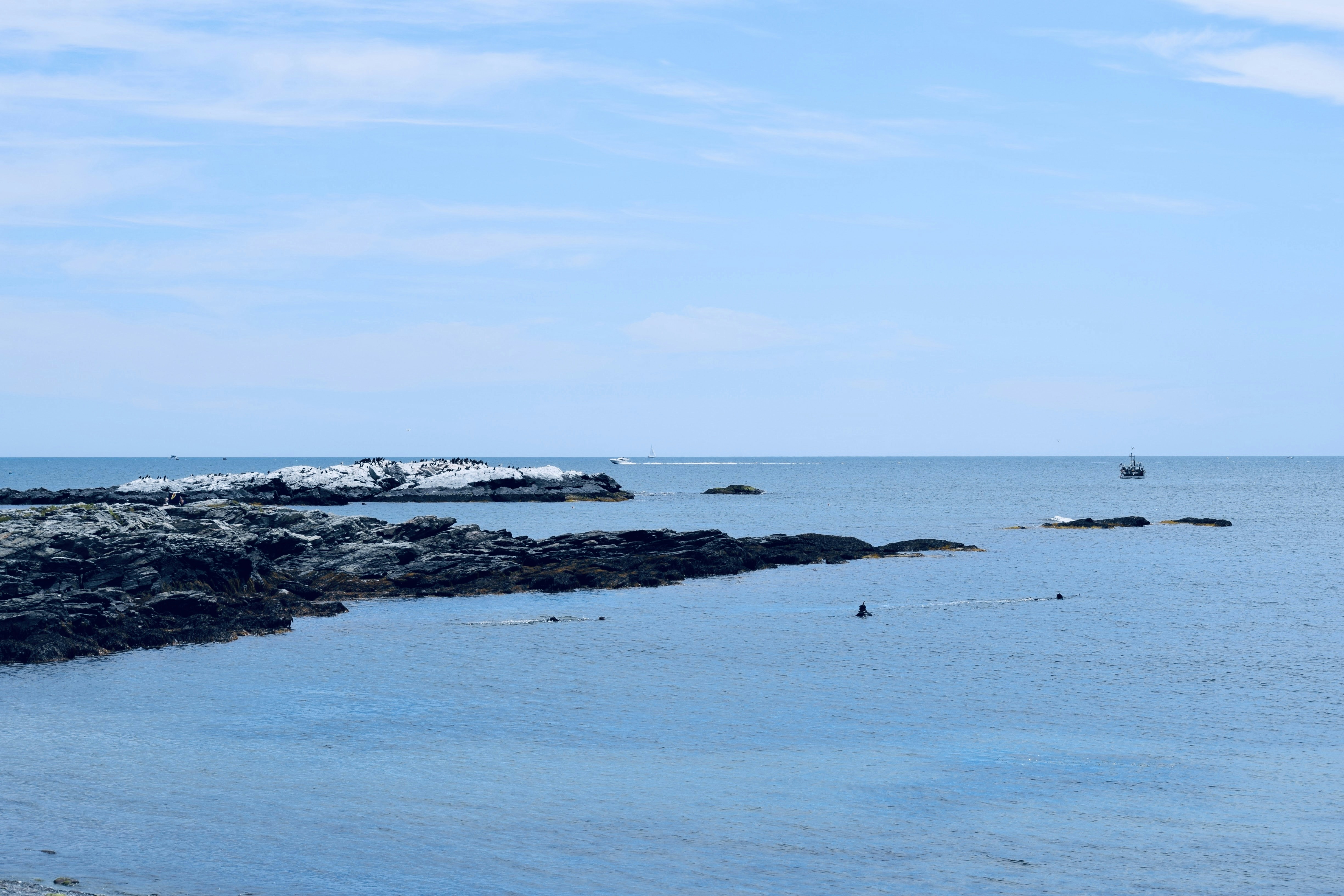 Photo by praswinprakashan