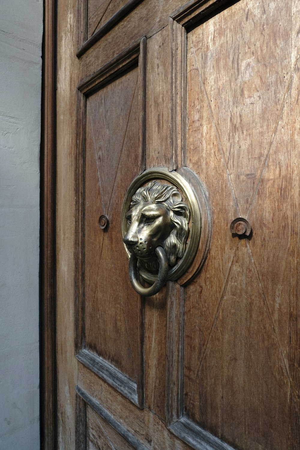 a close up of a door with a lion head knob
