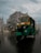 A green auto rickshaw drives down a wet city street under overcast skies. Buildings with modern and traditional architecture flank the road while other vehicles and pedestrians are visible in the background.