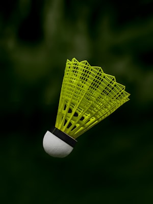 Badminton Shuttlecocks