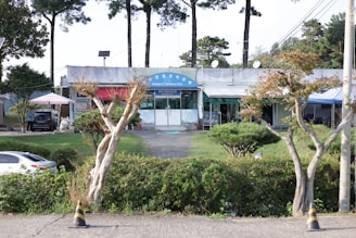 A small building with signage indicating a cemetery park is surrounded by greenery and trees. The area also includes parked cars and a few people standing nearby. The building has colorful awnings, and the surrounding vegetation looks well-maintained, creating a calm and serene environment.