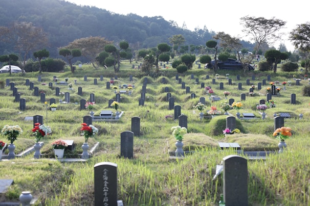 A serene cemetery with rows of gravestones neatly arranged on grassy terrain. Various colorful flower arrangements adorn the graves, adding a touch of vibrancy against the subdued landscape. In the background, there are trees and parked cars, suggesting a peaceful setting adjacent to a road.