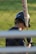 A person wearing a baseball helmet and batting gloves is holding a baseball bat over their shoulder. The bat has the brand name 'Marucci' visible on it. The background is a grassy area, and the image is partially obstructed by horizontal bars in the foreground.