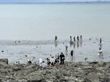 Participants gathered around a beach wildlife rescue demonstration on a sunny Mediterranean shore.