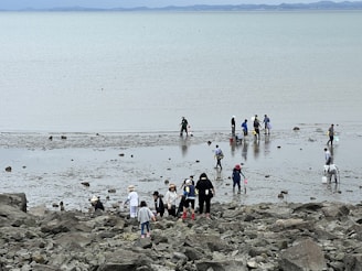 People gather on a rocky shore, engaging in activities along the water's edge. Many individuals wear hats and carry buckets or tools, possibly for collecting marine life or engaging in shoreline cleanup. The scene is calm with a mix of adults and children participating in the activities.