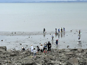 Participants gathered around a beach wildlife rescue demonstration on a sunny Mediterranean shore.