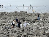 A group of people is scattered around a rocky and muddy shore, some wearing hats and boots, and carrying buckets. They appear to be engaged in an activity like clam digging or exploring the tidal flats.