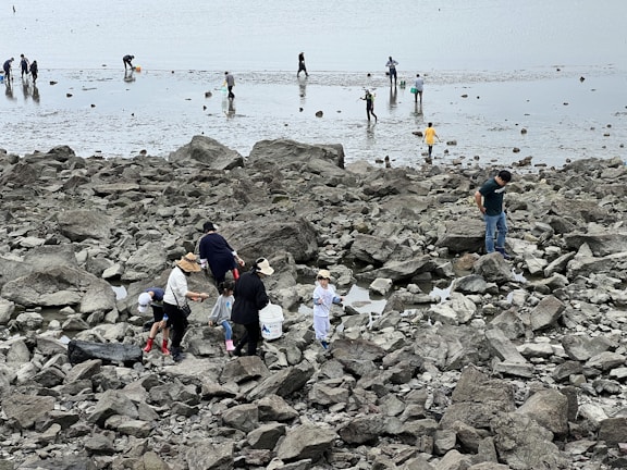 A group of people is scattered around a rocky and muddy shore, some wearing hats and boots, and carrying buckets. They appear to be engaged in an activity like clam digging or exploring the tidal flats.
