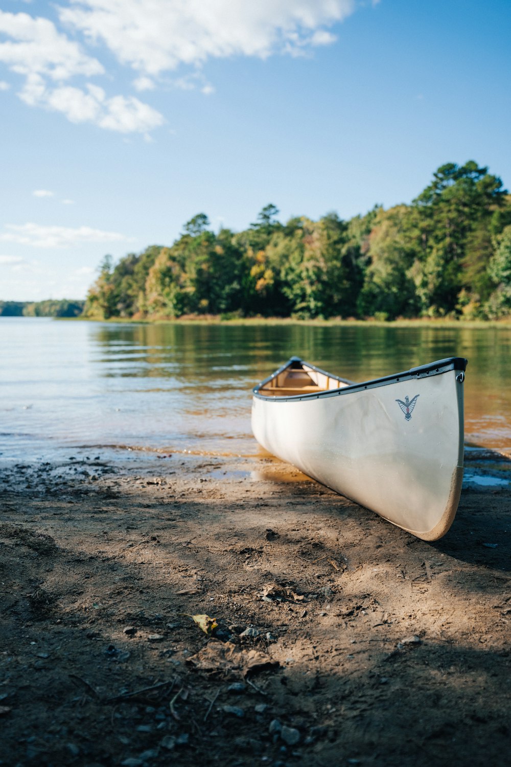 a white canoe sitting on the shore of a lake