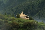 A peaceful Buddhist temple nestled among lush greenery.