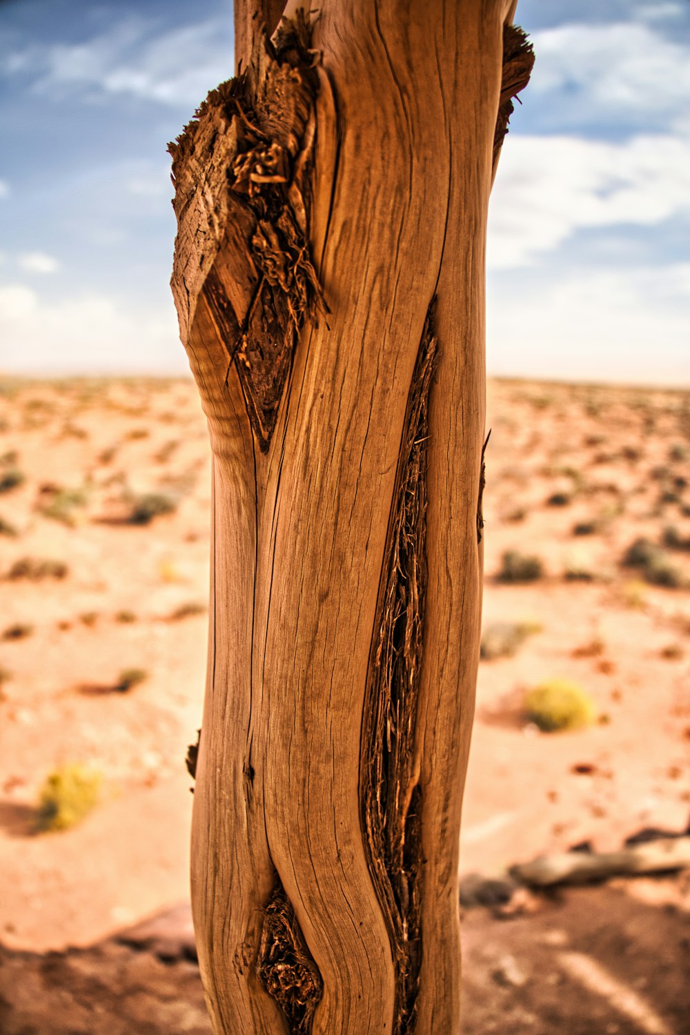 a wooden post in the middle of a desert