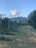 A picturesque vineyard with rows of grapevines supported by wooden posts stretches into the distance. Lush green foliage lines the path, leading to rolling hills under a clear blue sky dotted with fluffy white clouds.