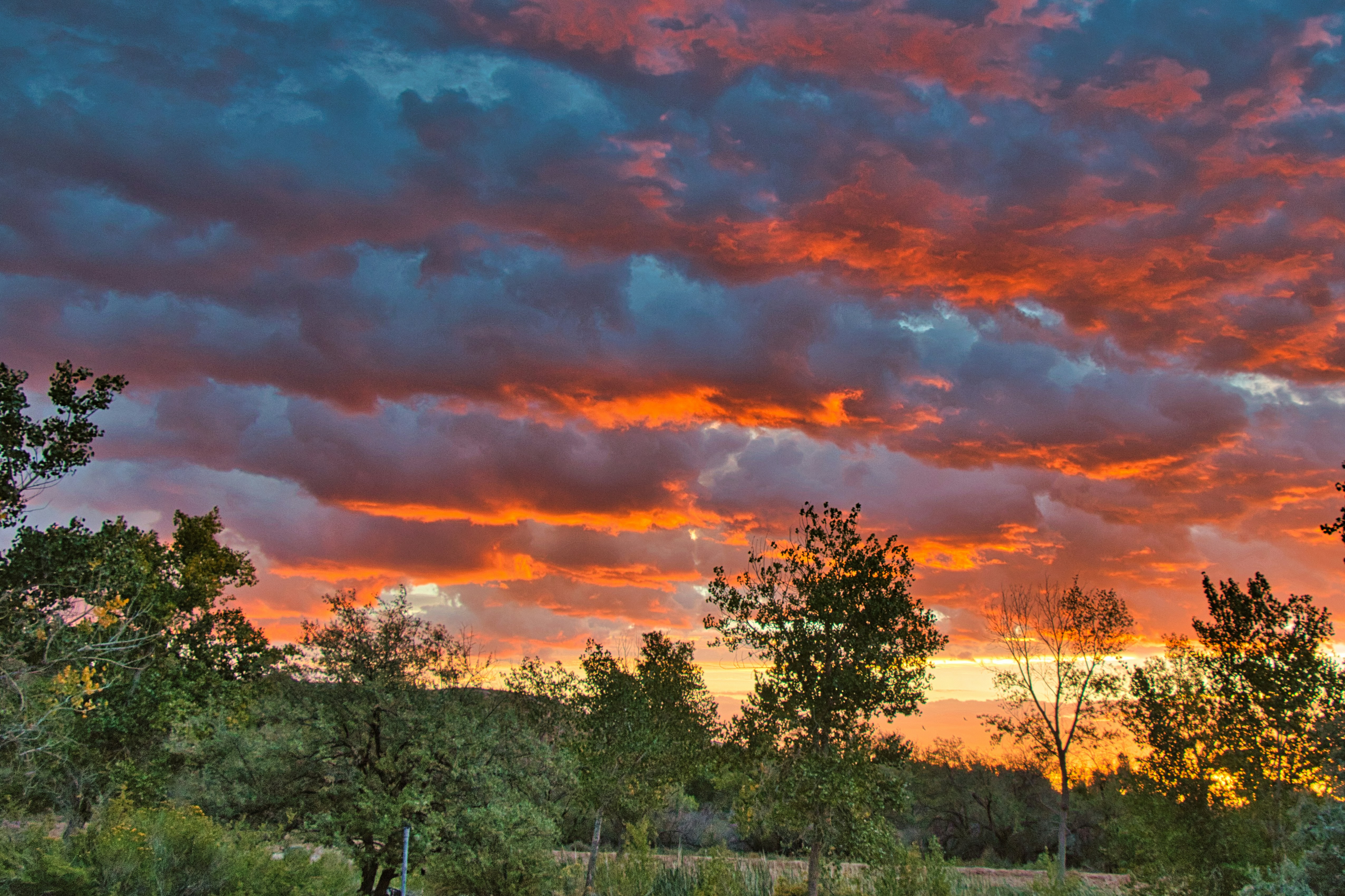 Fair Bluff, North Carolina