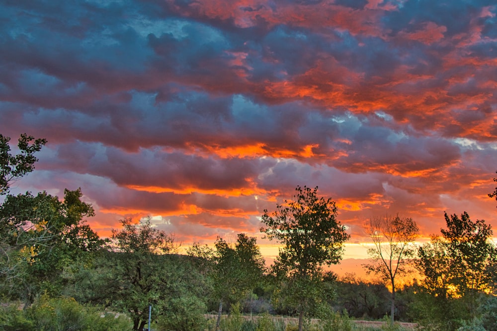 a colorful sunset with clouds and trees in the foreground