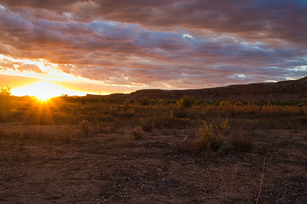 Le soleil se couche sur une plaine désertique